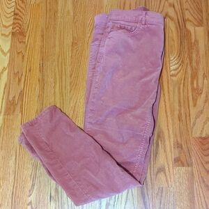 Loft Velvet Pants! Rust Color Size 10 Lots of Compliments!